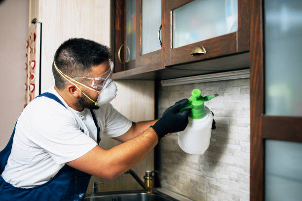 Best Pest Inspection Near Me  in Erie, PA