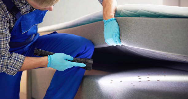 Best Pest Control Near Me  in Erie, PA