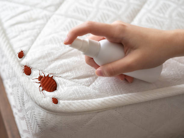 Best Bed Bug Extermination  in Erie, PA