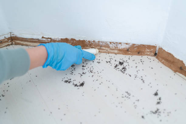 Best Emergency Pest Control  in Erie, PA