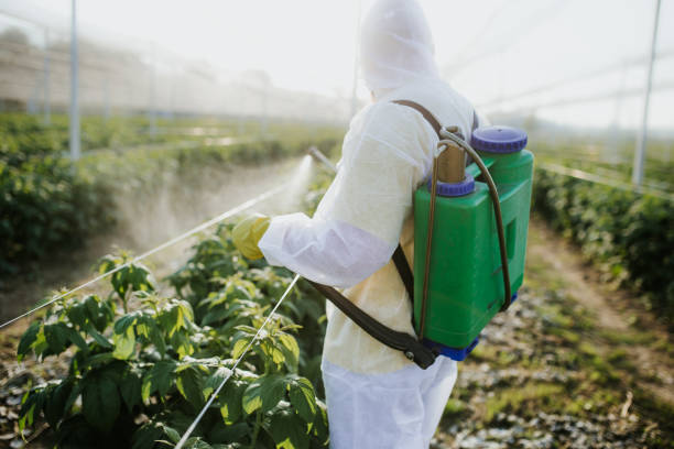 Best Ant Control Services  in Erie, PA